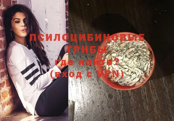 мдма Гусев