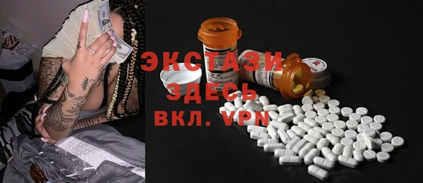 индика Гусиноозёрск