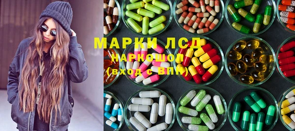 индика Гусиноозёрск
