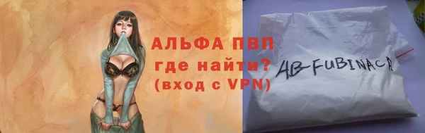 индика Гусиноозёрск
