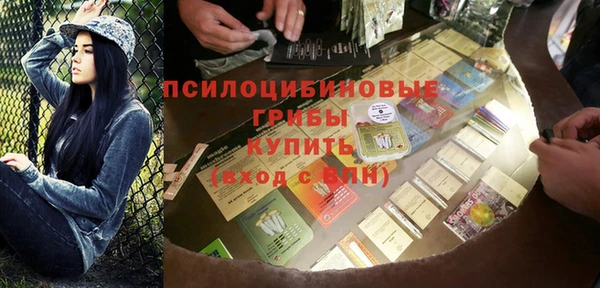 индика Гусиноозёрск