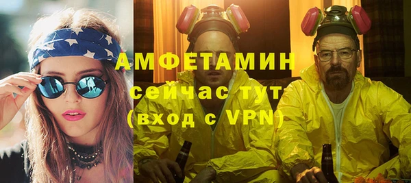 индика Гусиноозёрск