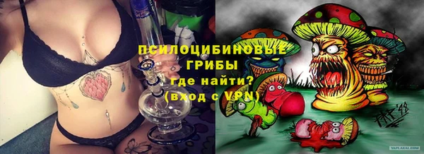 индика Гусиноозёрск