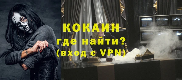индика Гусиноозёрск