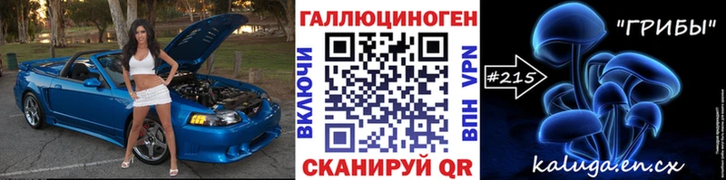 Галлюциногенные грибы Psilocybe  Дудинка 